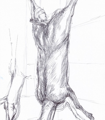 Reh Studien, Original - Zeichnung