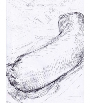 Fleischwurst linear, Kunstdruck A2