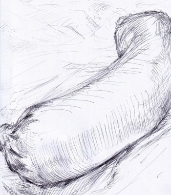 Fleischwurst linear, Original - Zeichnung